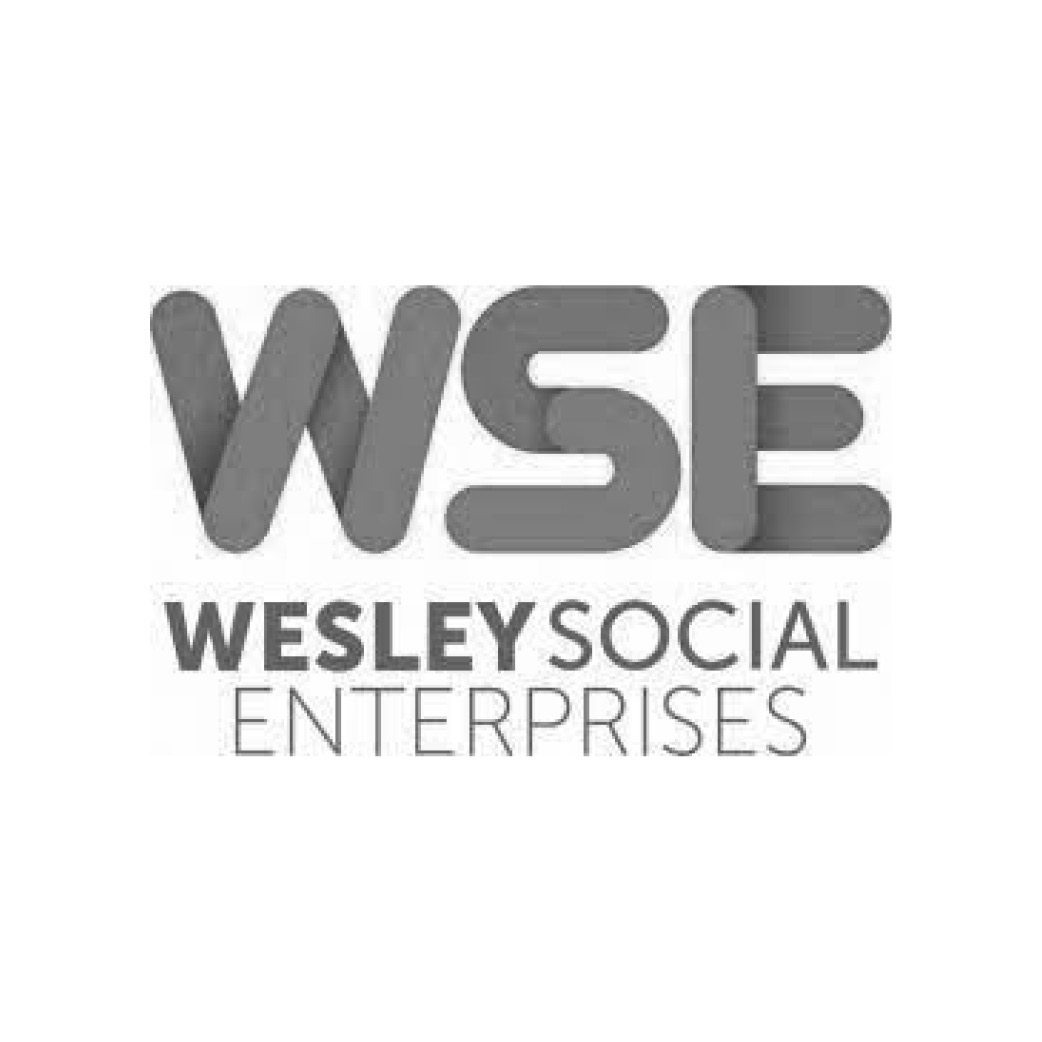 WSE logo